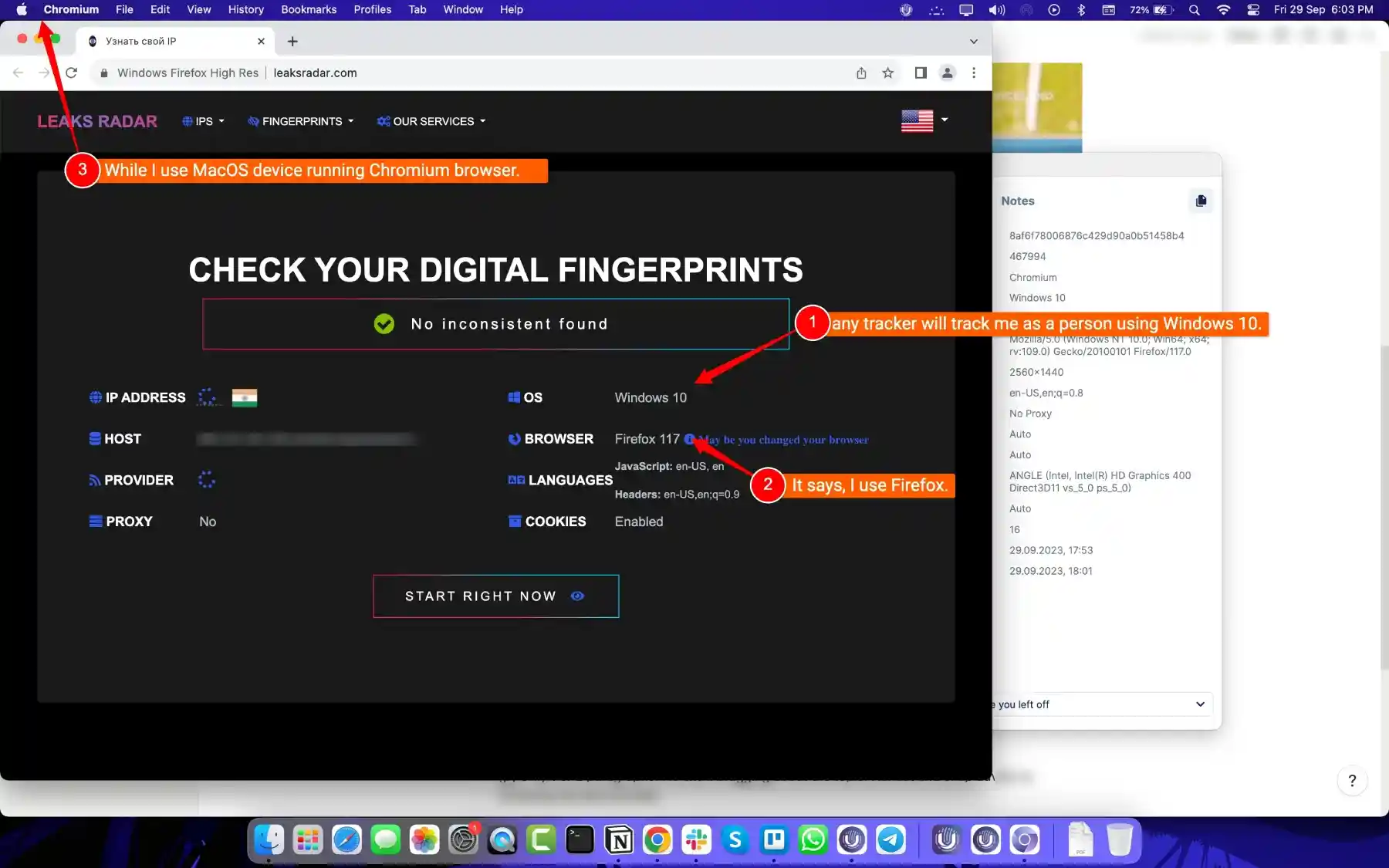 Browser Fingerprints Test Results