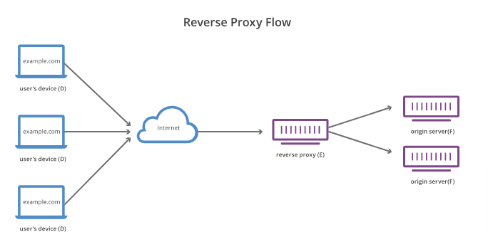 reverse proxy network