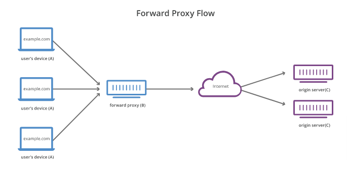 forward proxy network