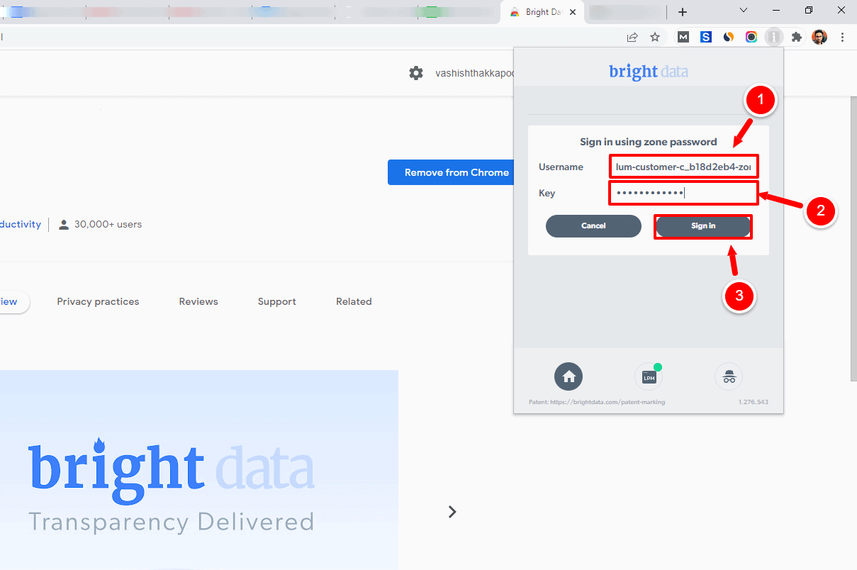 login using zone password to bright data